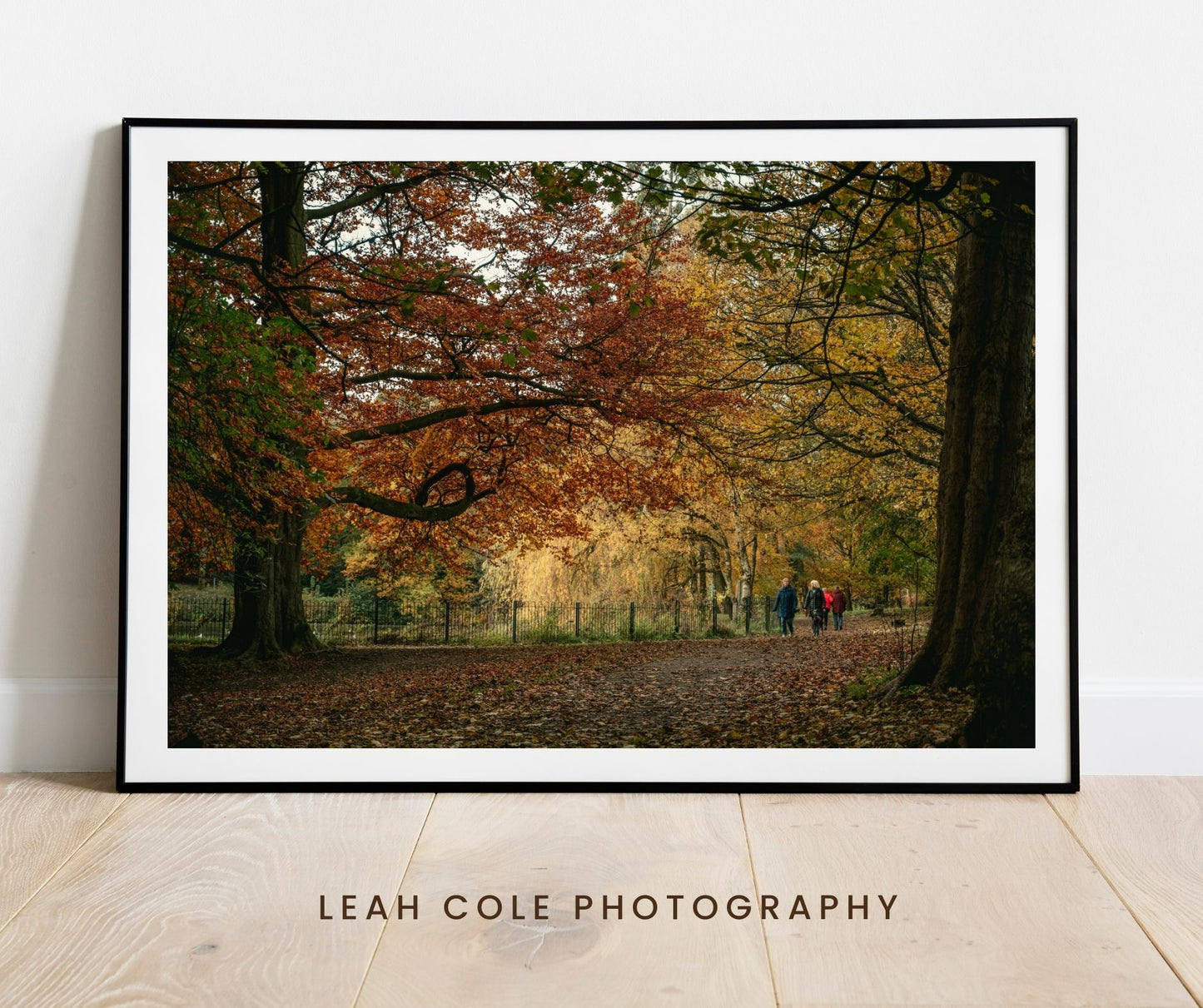 Autumn in Roundhay Park 5