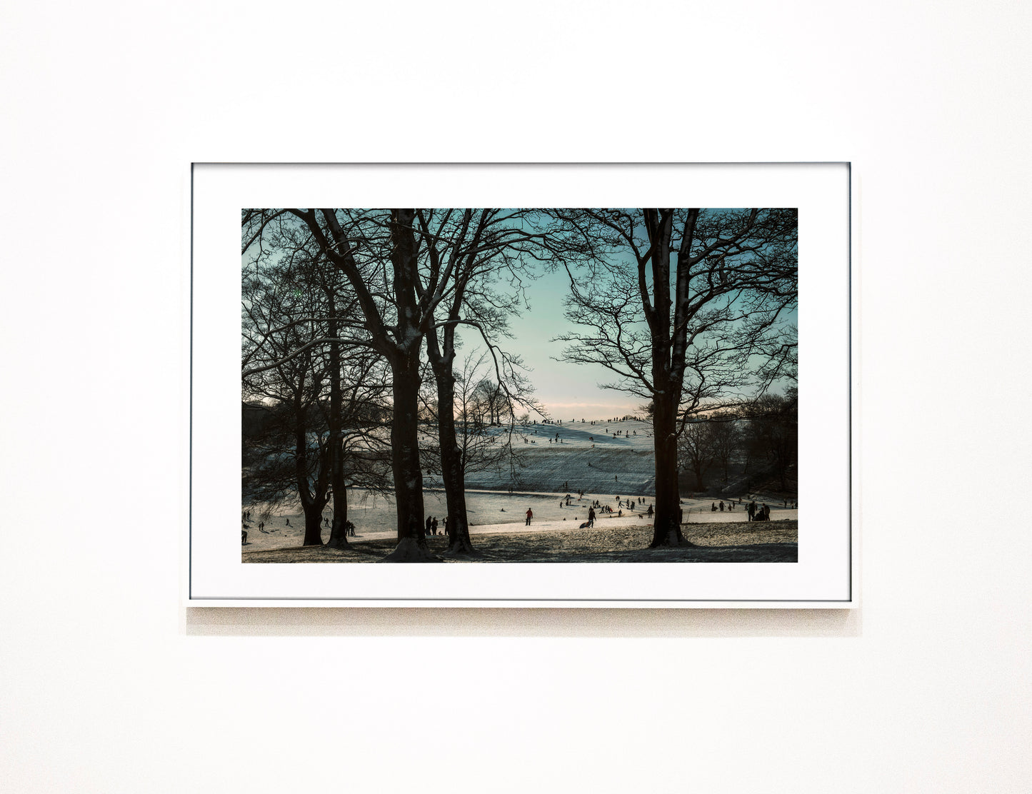 Limited Edition Roundhay Park Snow Sledging