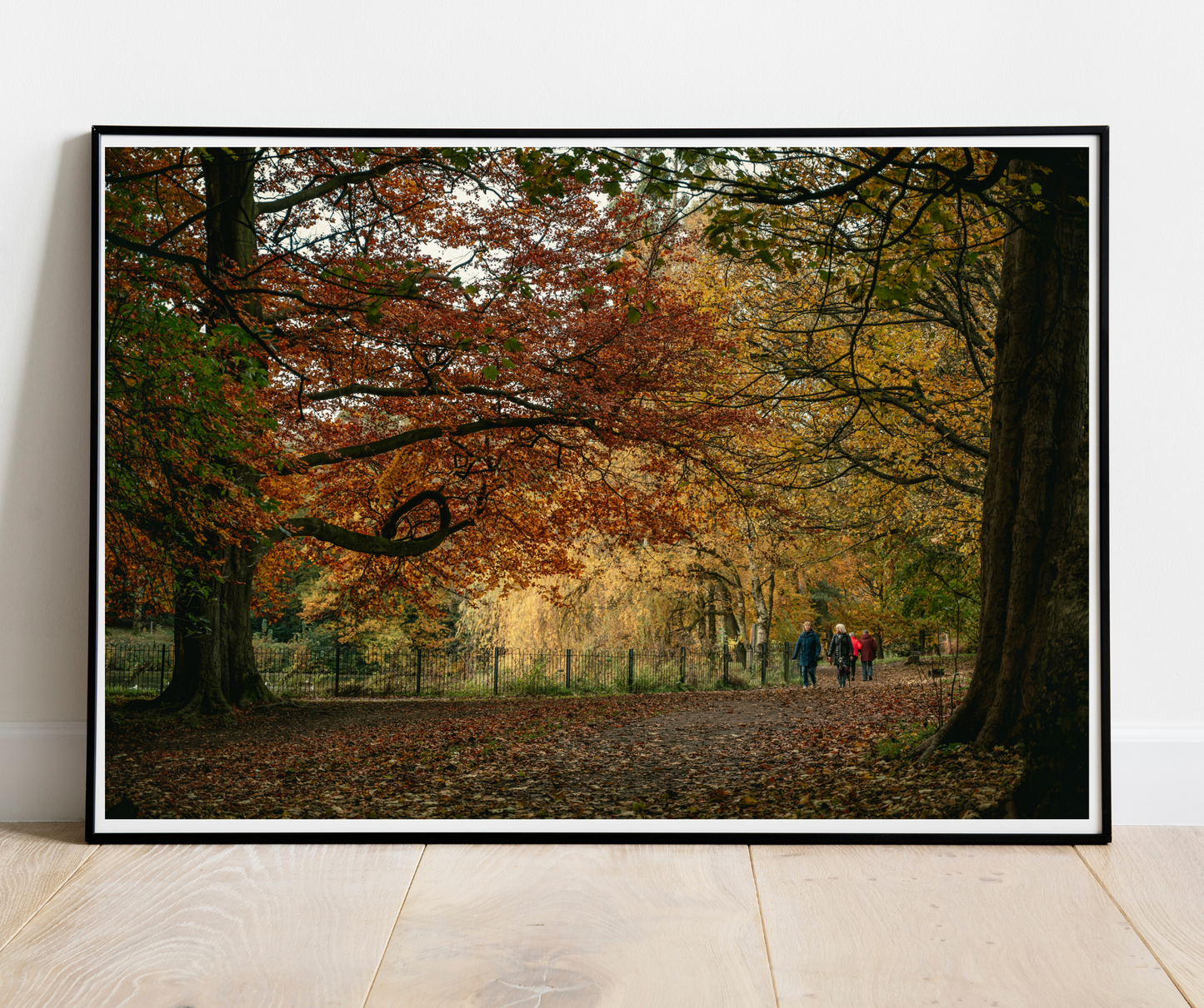 Autumn in Roundhay Park 5