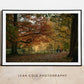 Autumn in Roundhay Park 5