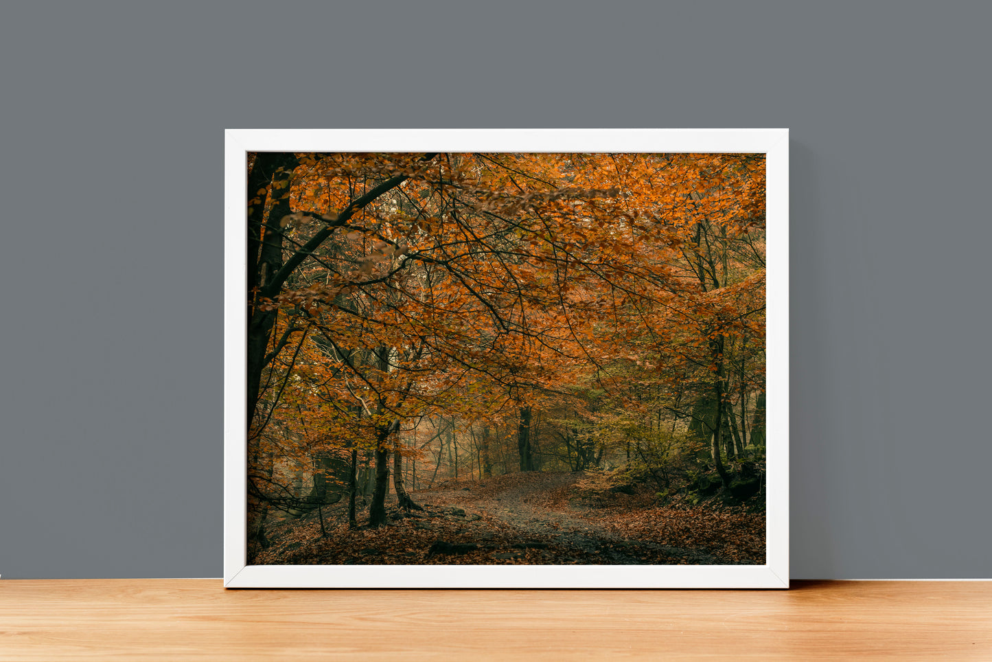 Oltey Chevin Autumn woods