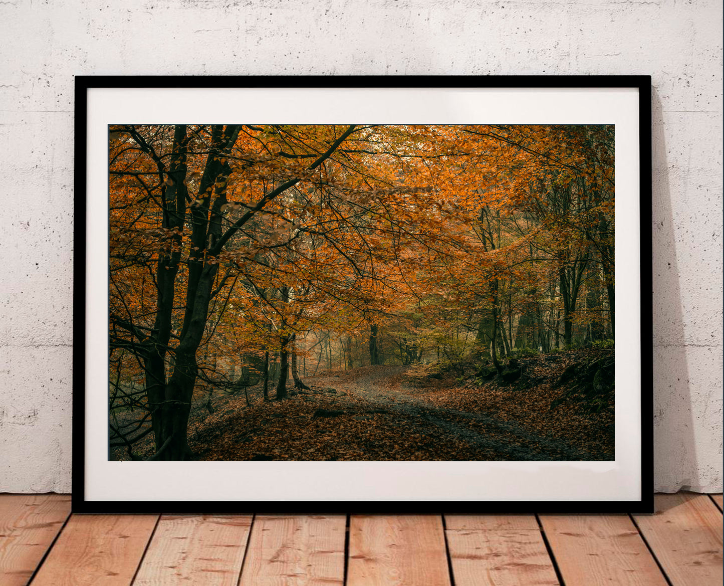 Oltey Chevin Autumn woods